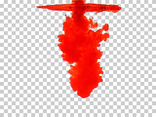 paint paint